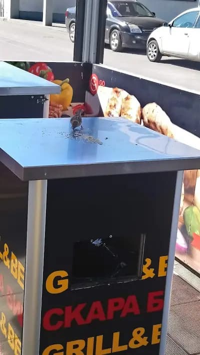 GO GRILL