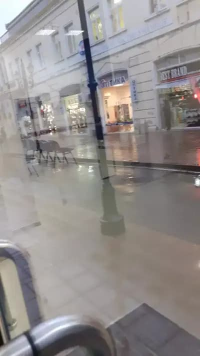 ОББ клон Русе Приста