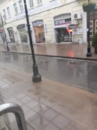 ОББ клон Русе Приста