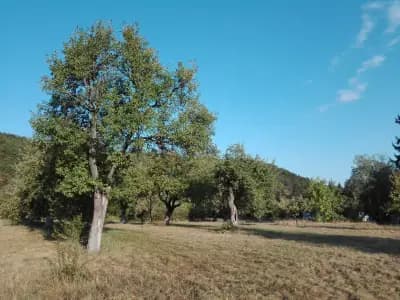 ХОТЕЛ "ПРИРОДА"