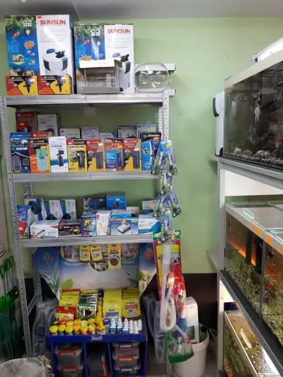 Акваристика и Зоомагазин в Русе-"Аквазоо Немо"