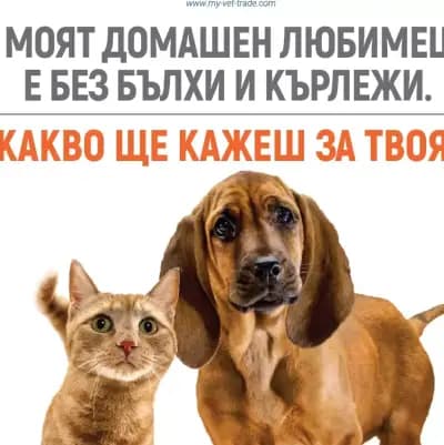 ВЕТ - ТРЕЙД