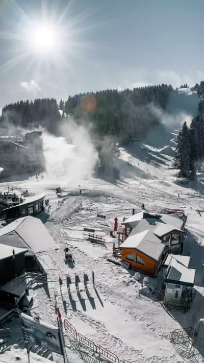 Spree Hub | Ski & Snowboard school