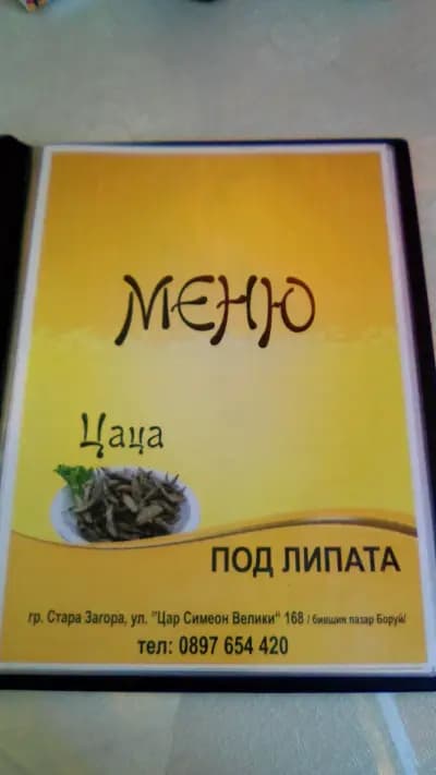 Цаца под липата