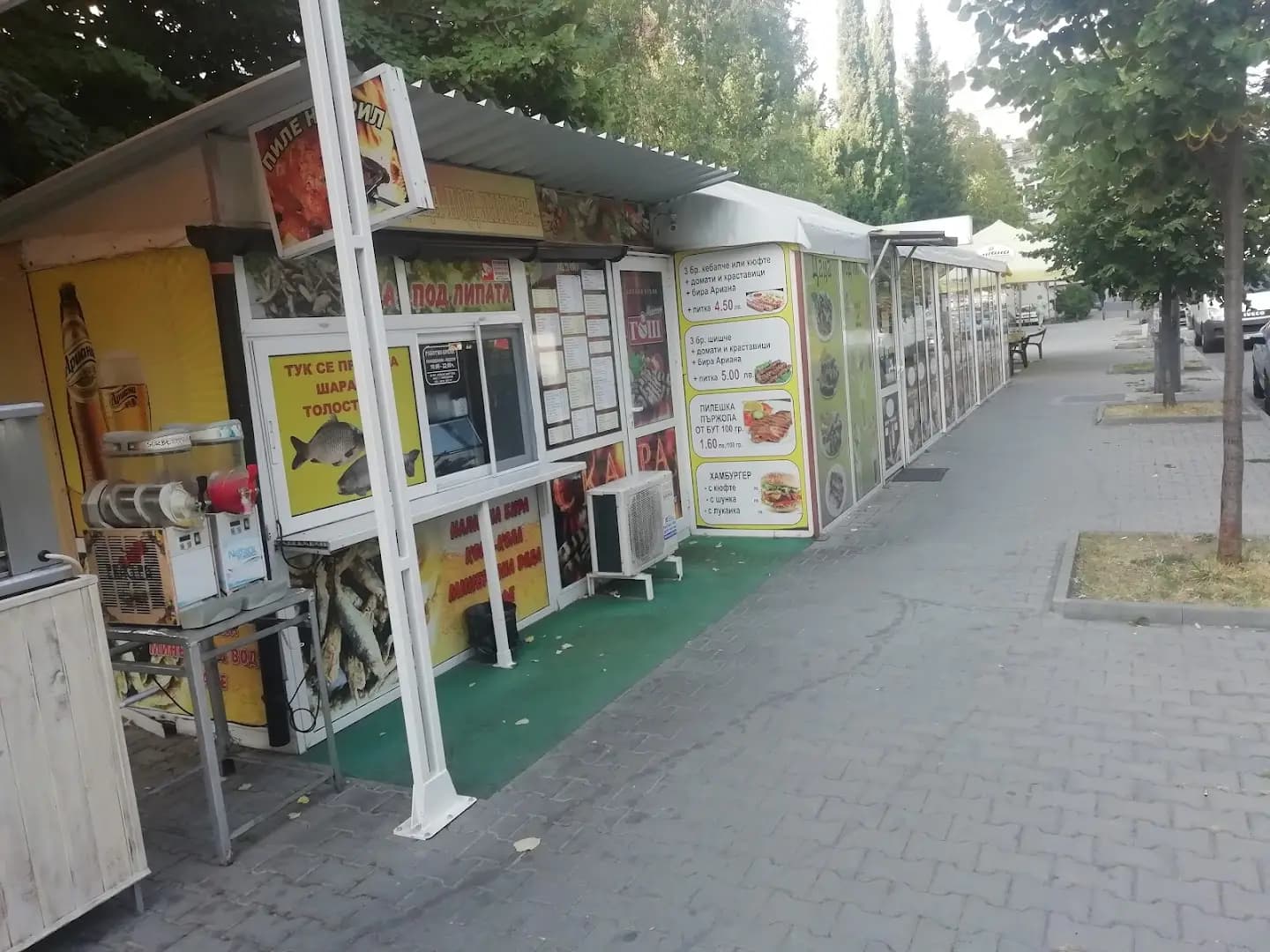 Цаца под липата