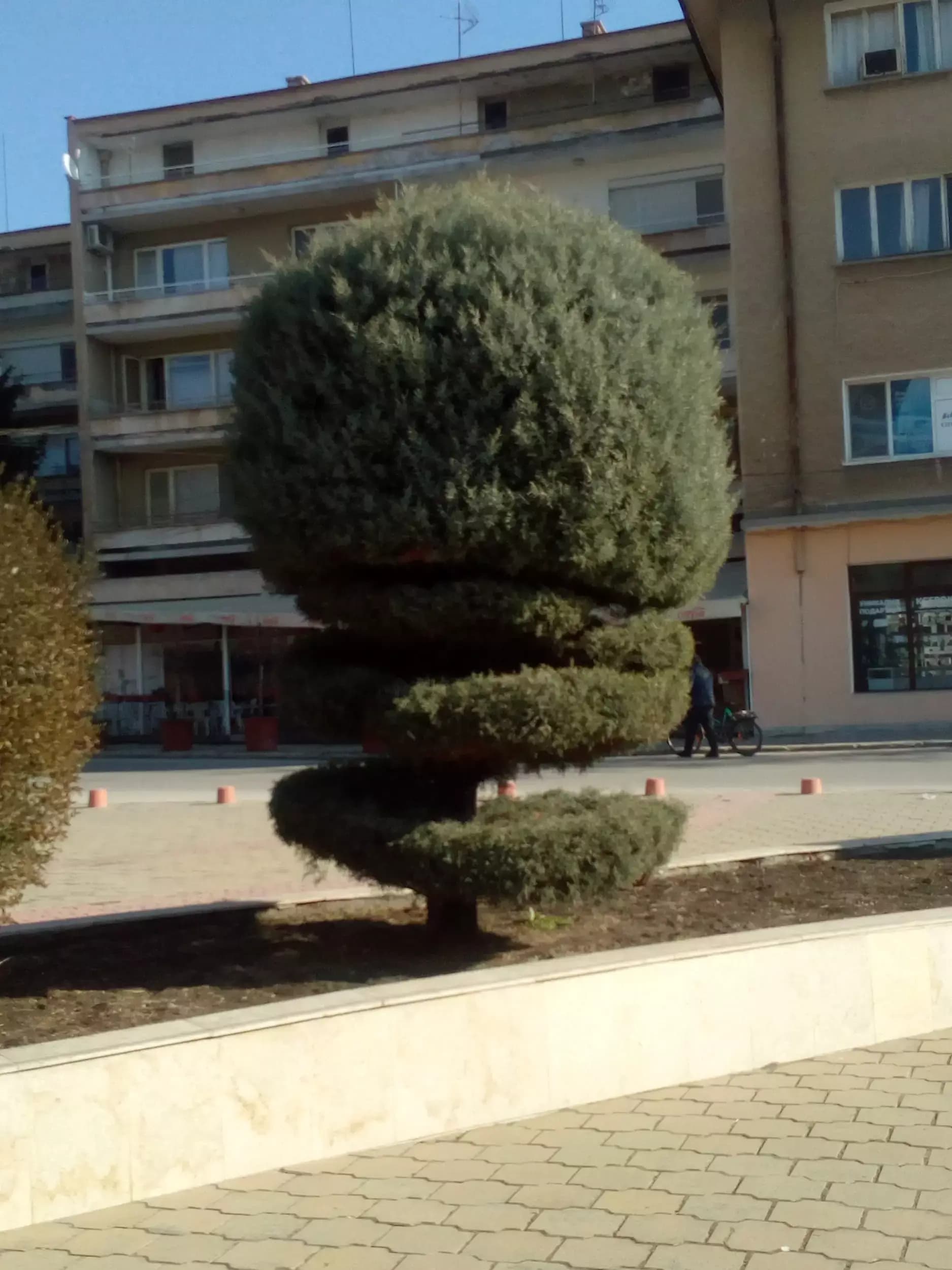 Община Чирпан