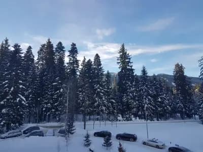 Апартамент - Боровец Хотел ''Боровец Гардънс'' A 44