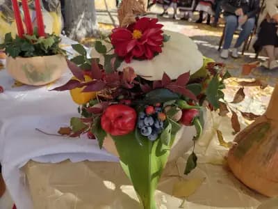Кметсво Горски извор