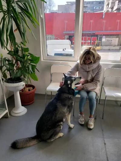 Ветеринарна клиника Одесос