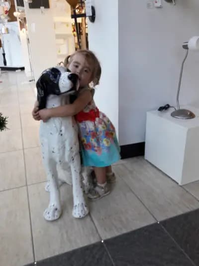 Габровски ООД