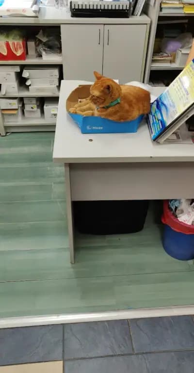 Office 1
