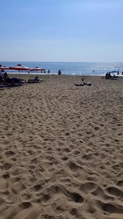 Arena Mar Hotel and SPA