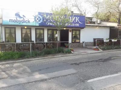 Ханче Ракитника
