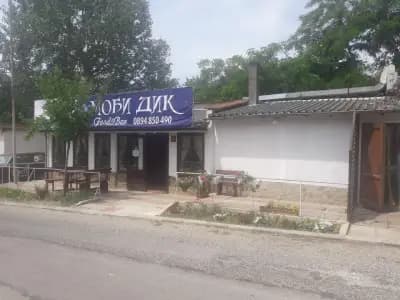 Ханче Ракитника