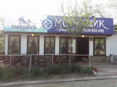 Ханче Ракитника