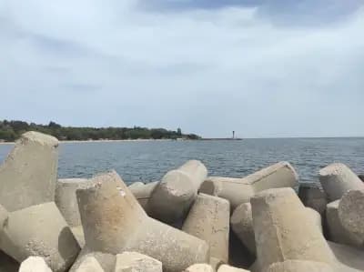 Немо