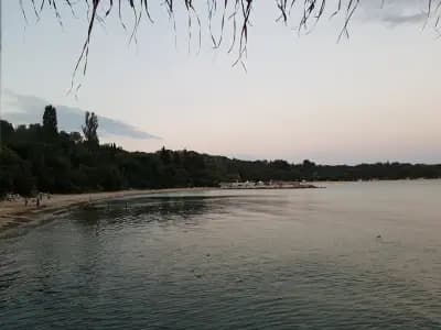 Немо