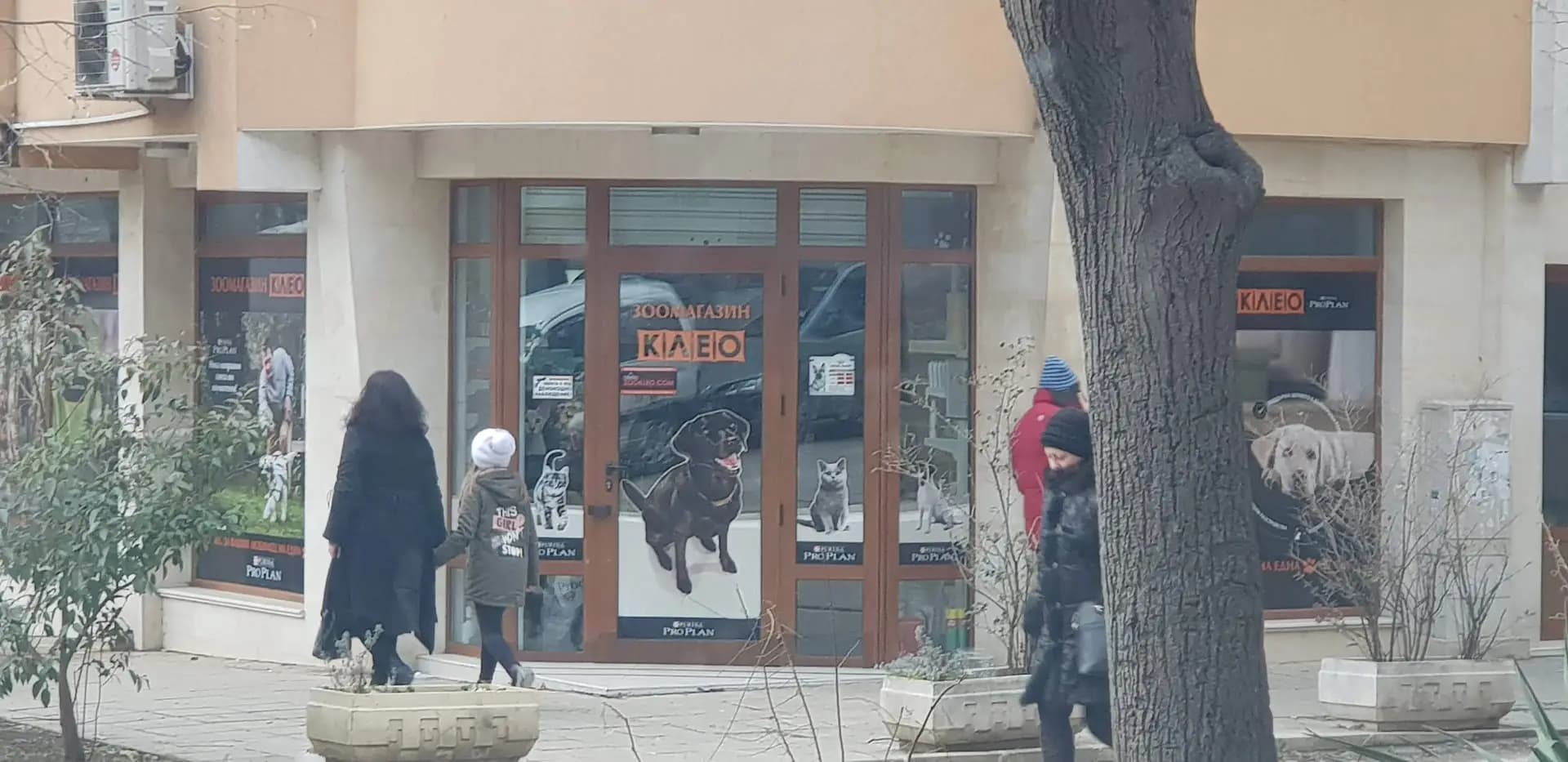 Зоомагазин Клео