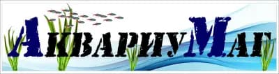 АквариуМаг