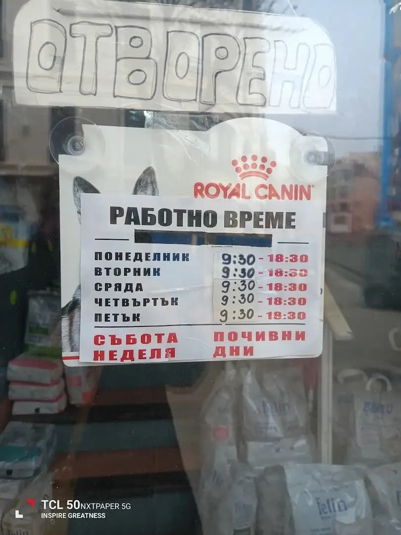 Zooland Varna - Гъбата