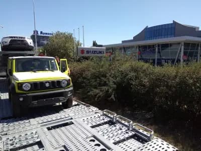 Service Suzuki and Kia