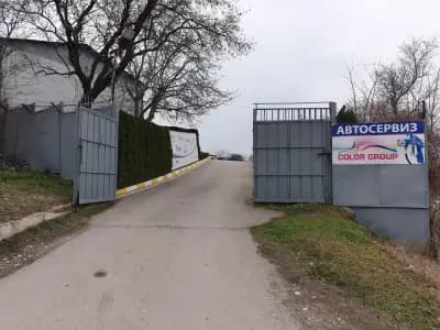 Колор Груп
