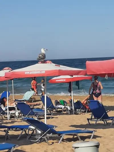Astera Hotel & Spa with FREE PRIVATE BEACH