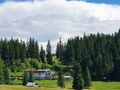 Хотел "Родона"