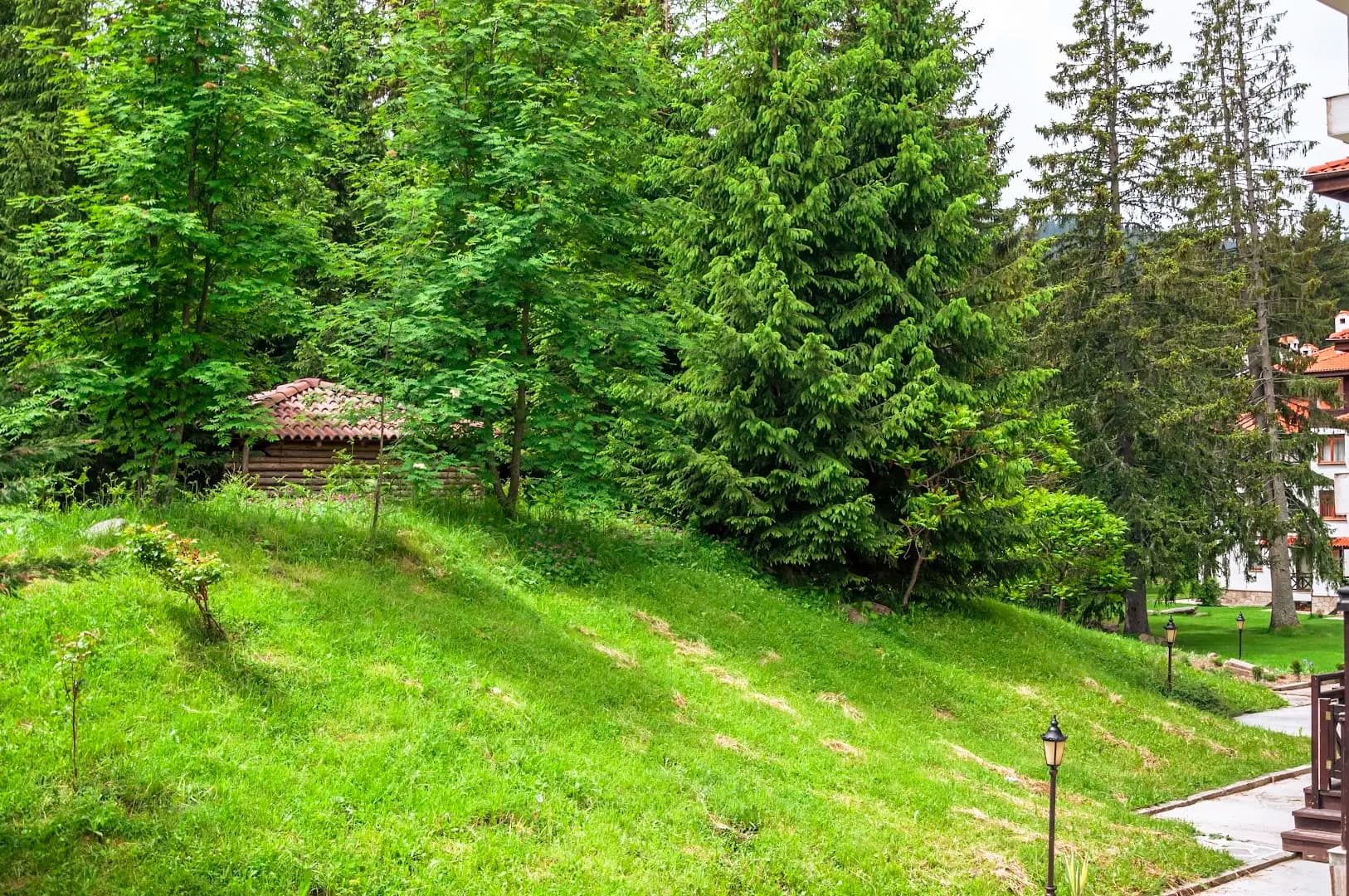 "Моето Любимо Място", Смолянски езера - "My Favorite Place", Smolyan lakes