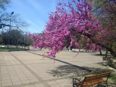 Регионална библиотека „Пенчо Славeйков“