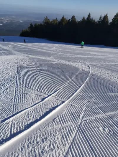 Бороспорт