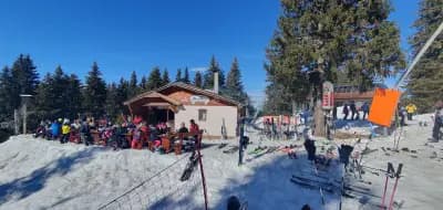Березка