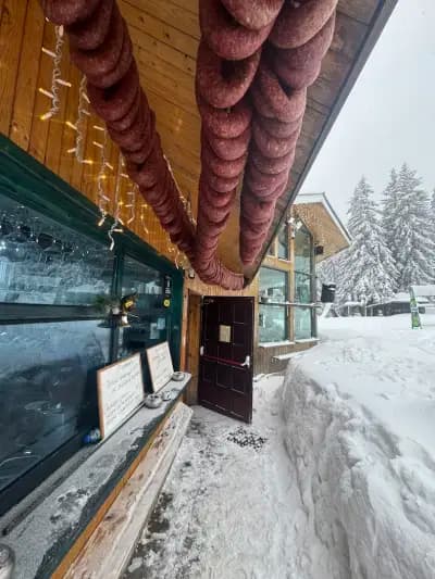 Bohemi Bar&grill