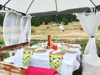 Bohemi Bar&grill