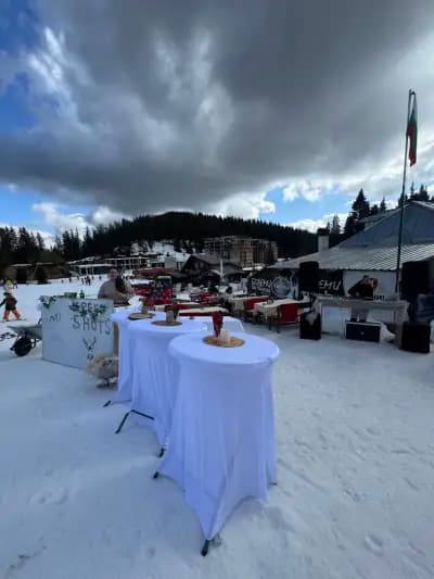 Bohemi Bar&grill