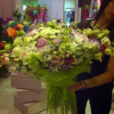 Romance - Grand Mall Varna