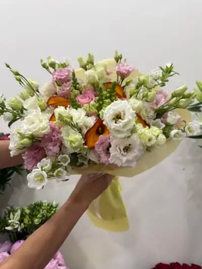 Romance - Grand Mall Varna