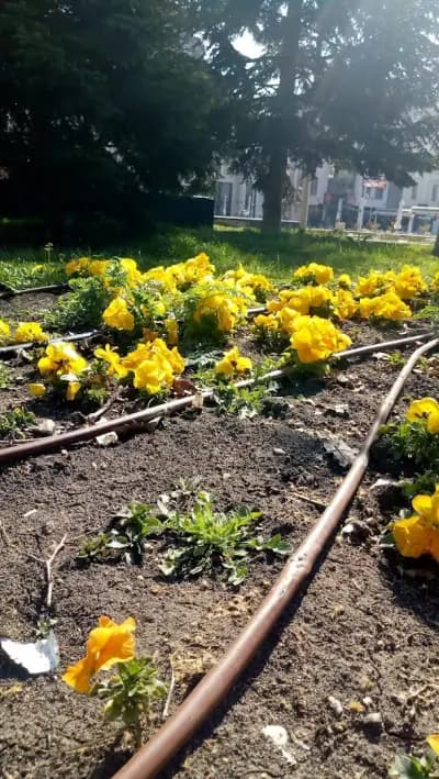 Окръжен съд Варна