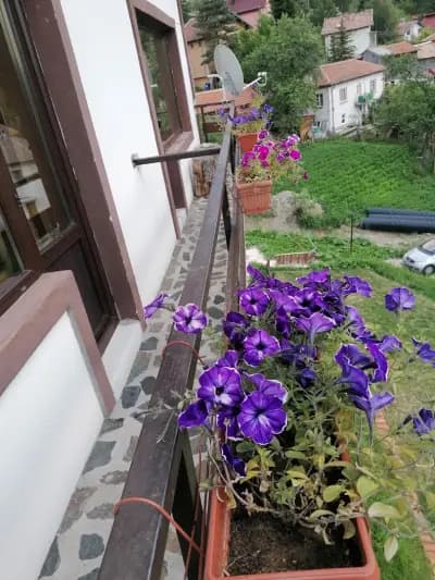 Къща за гости Възрожденски къщи