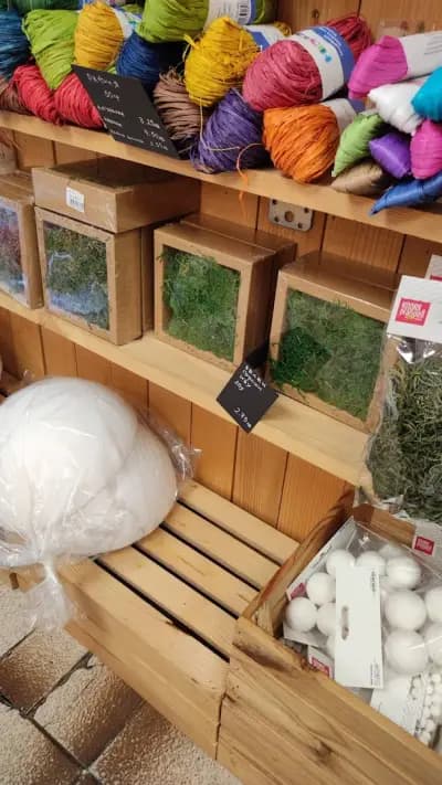 Слънчоглед Варна