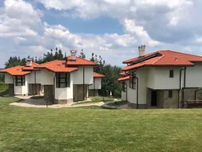 Вили Касиопея