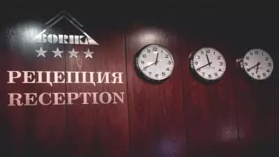 Хотел Борика