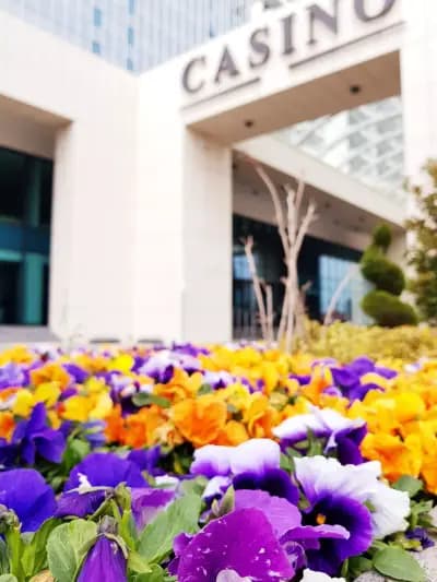 International Hotel Casino & Tower Suites
