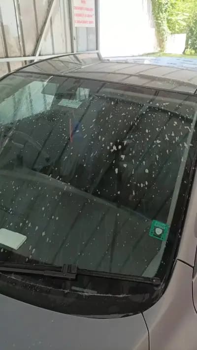Автомивка Фаворит 2000