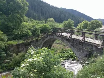 Хотел Калина