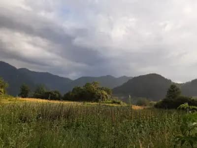 Complex Padaloto ETHNO