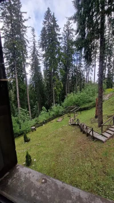 Грийн Лайф Апартаменти Пампорово