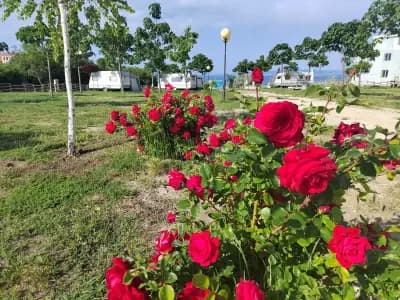 Camping "Sea Dreams"/Къмпинг"Морски Мечти"
