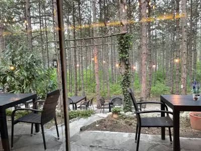 Forest Food House