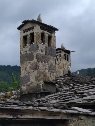 Комплекс Камелия
